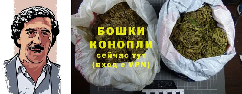 Конопля SATIVA & INDICA  наркота  Александровск 